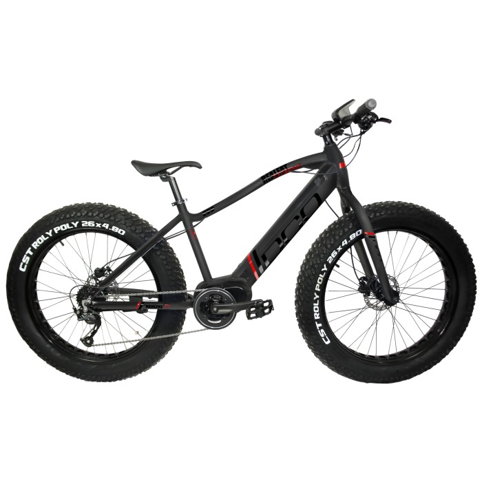 REALFAT E 1000W (EBIKE) REALFAT E 1000W (EBIKE)