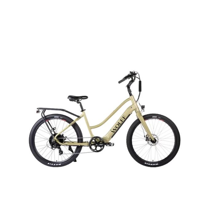 Ursa E-Bike Cruiser